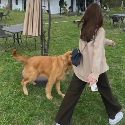 乐高史酷比：好莱坞闹鬼记